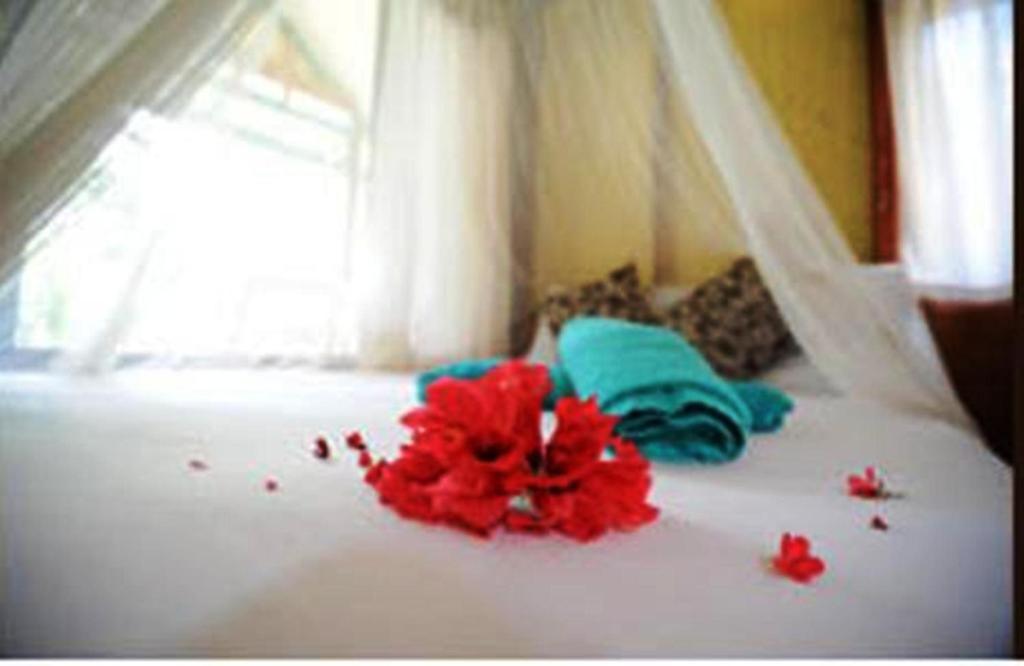 Smile Bungalow Bottle Beach Rom bilde